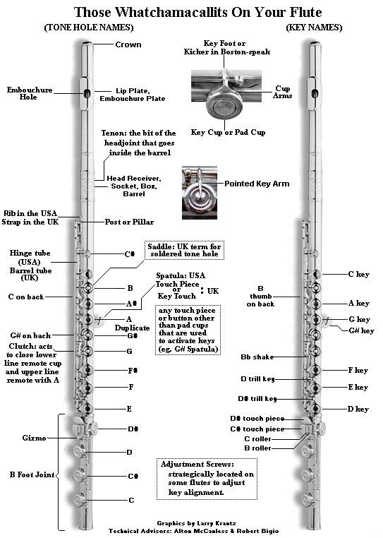 Bamboo flute vst download torrent Bamboo flute vst download torrent
